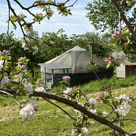 レッドベリー Dragon Orchard Retreatヴィラ エクステリア 写真