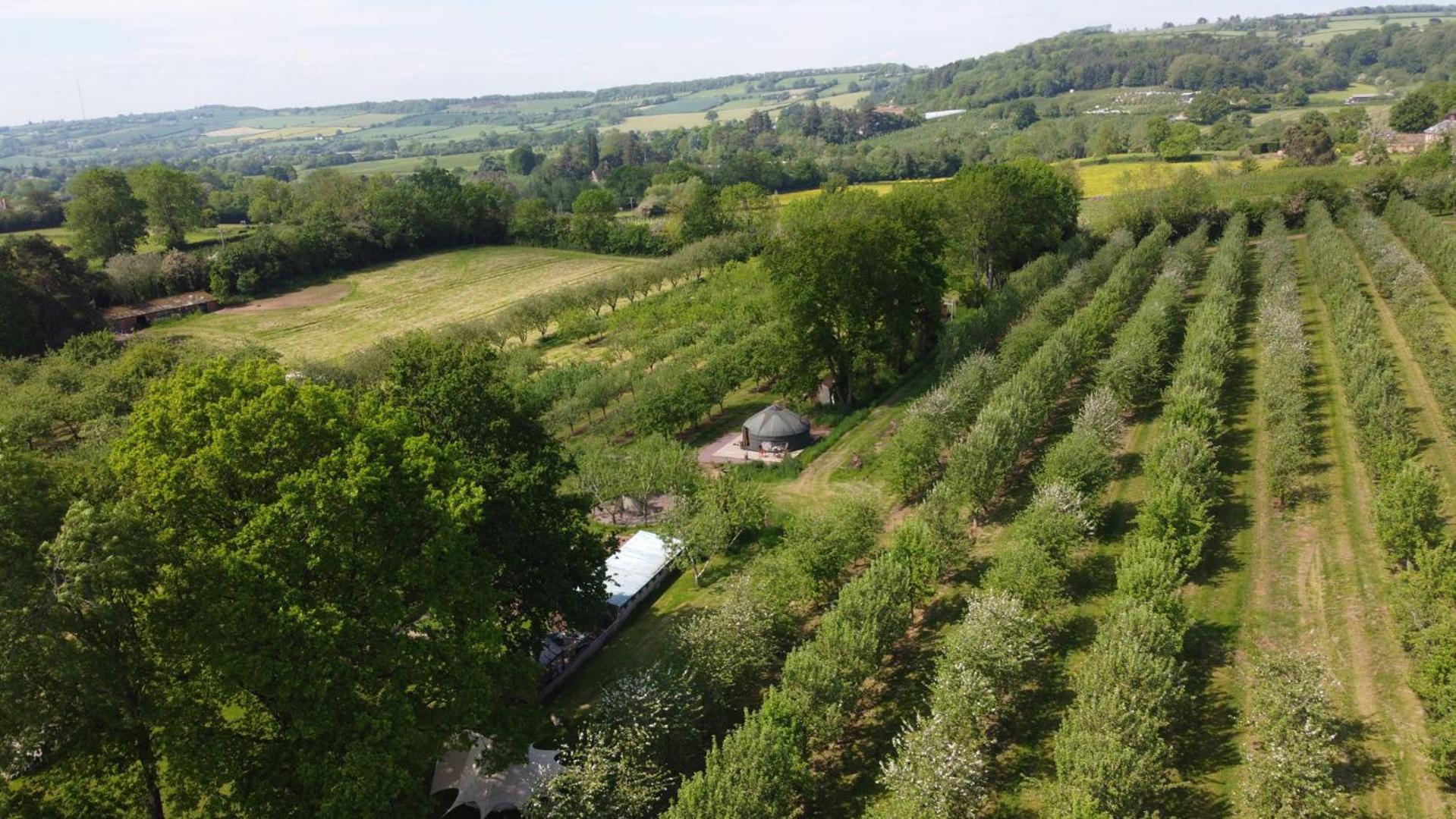 レッドベリー Dragon Orchard Retreatヴィラ エクステリア 写真