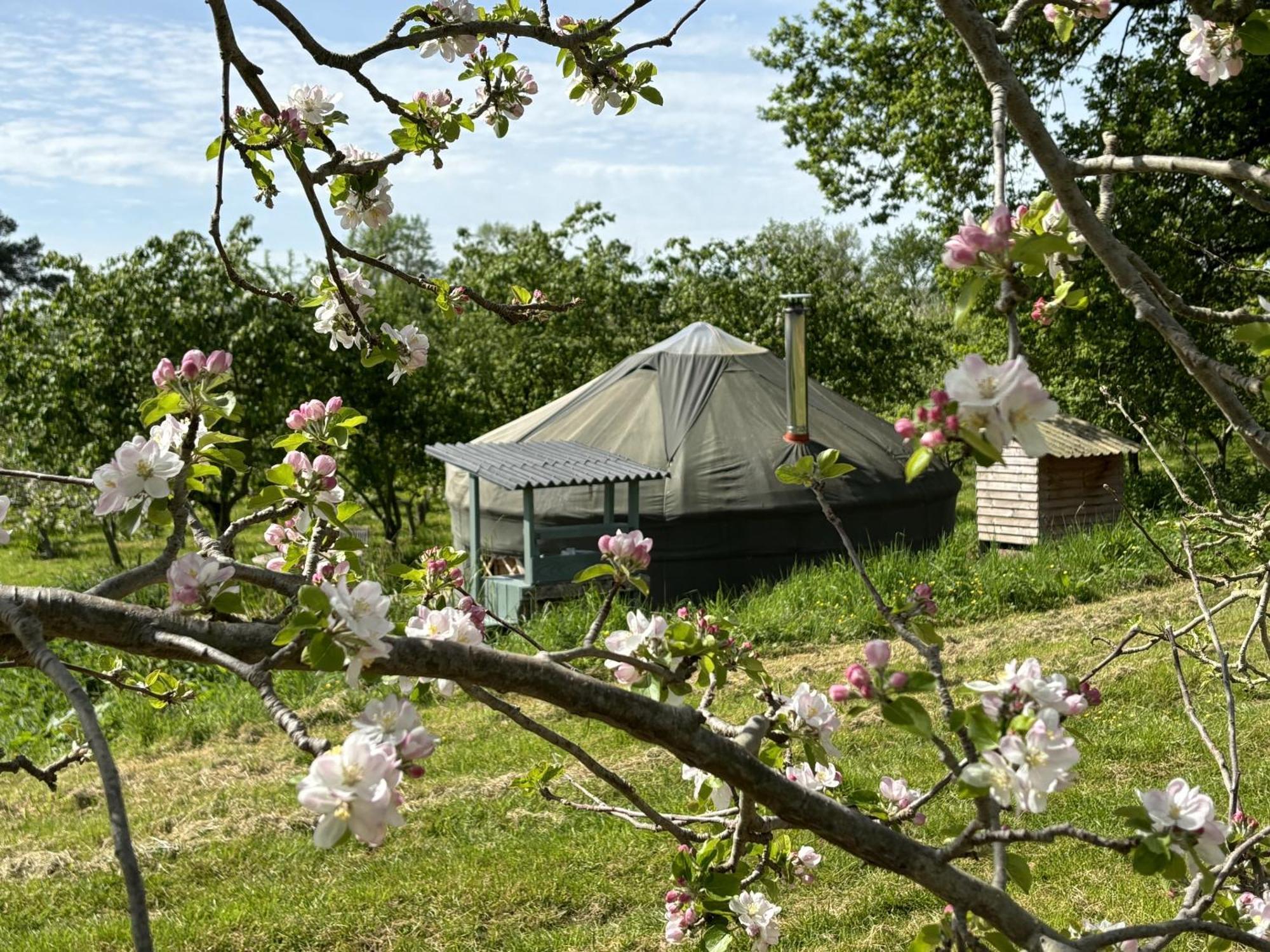 レッドベリー Dragon Orchard Retreatヴィラ エクステリア 写真